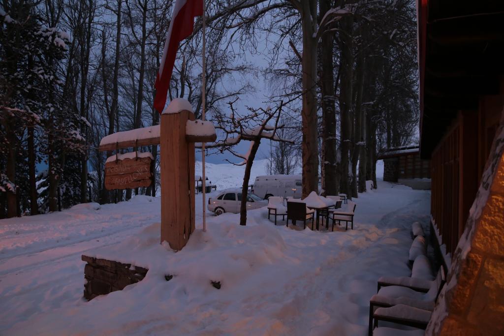 Hotel Posada Farellones Exteriör bild